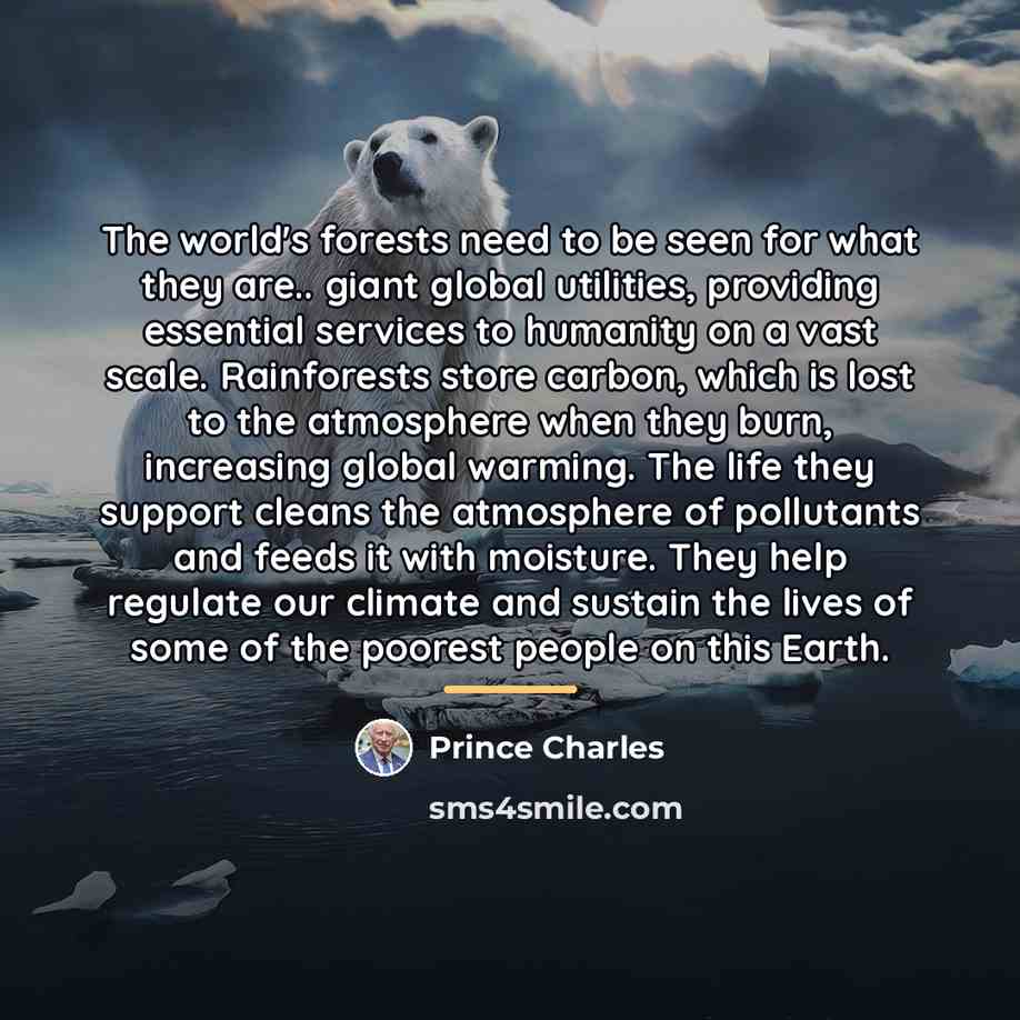 “The world's forests need to be seen for what they…” quote by Prince Charles