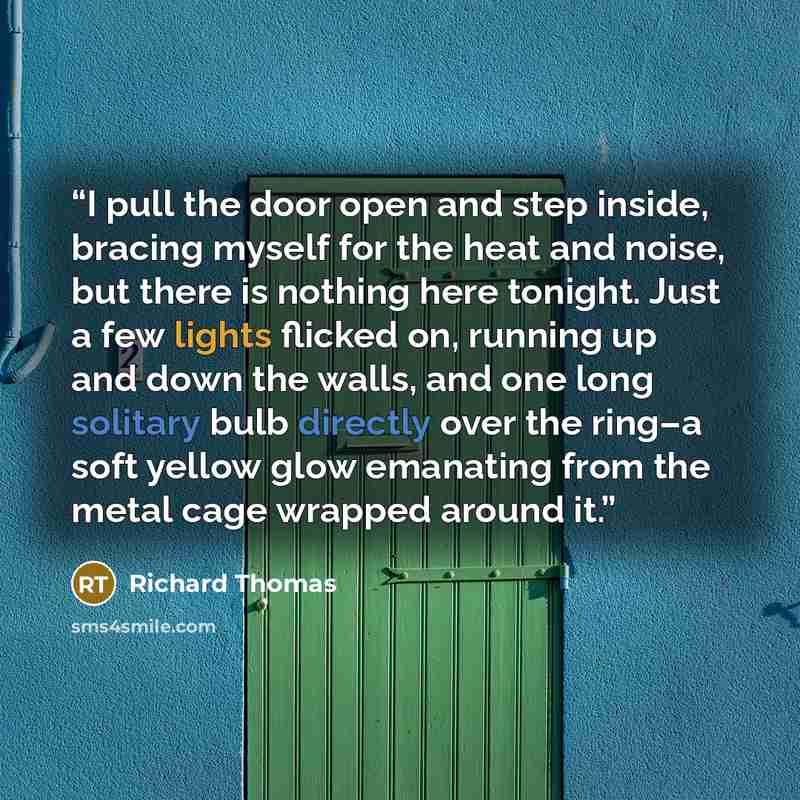 “I pull the door open and step inside, bracing myself for the heat and noise, but there is nothing here tonight. Just a few lights flicked on, running up and down the walls, and one long solitary bulb directly over the ring–a soft yellow glow emanating from the metal cage wrapped around it.” quote by Richard Thomas