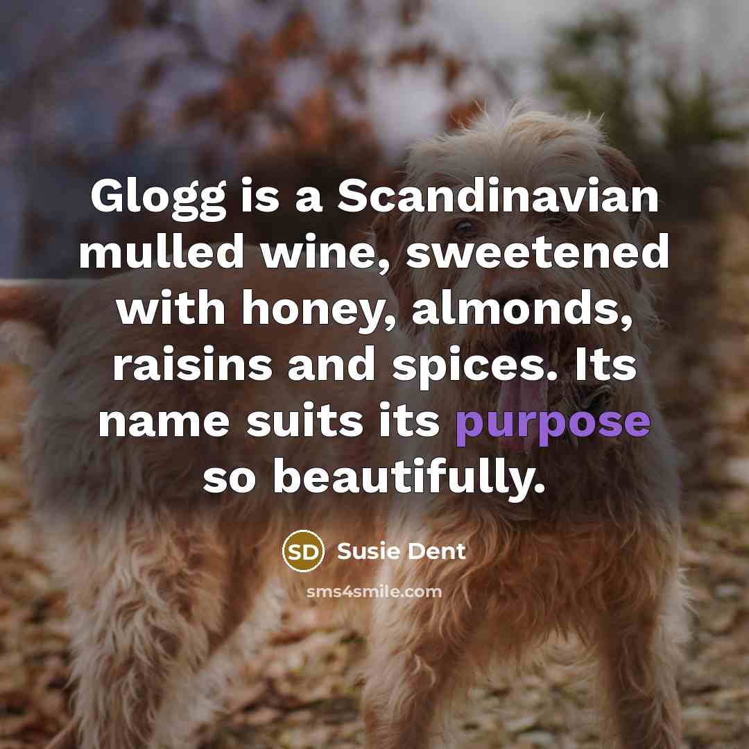 “Glogg is a Scandinavian mulled wine, sweetened with honey, almonds,…” quote by Susie Dent