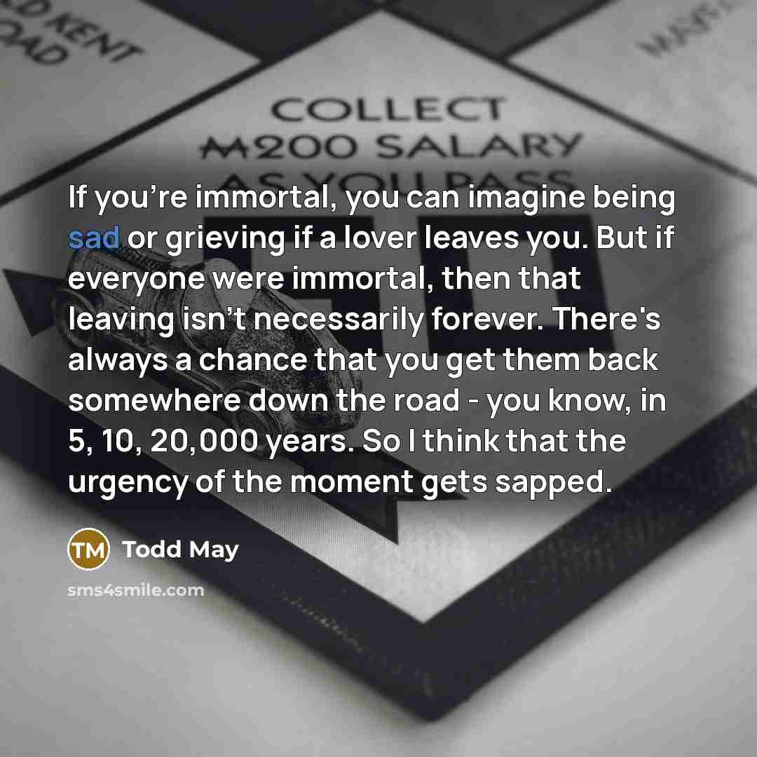 “If you're immortal, you can imagine being sad or grieving…” quote by Todd May