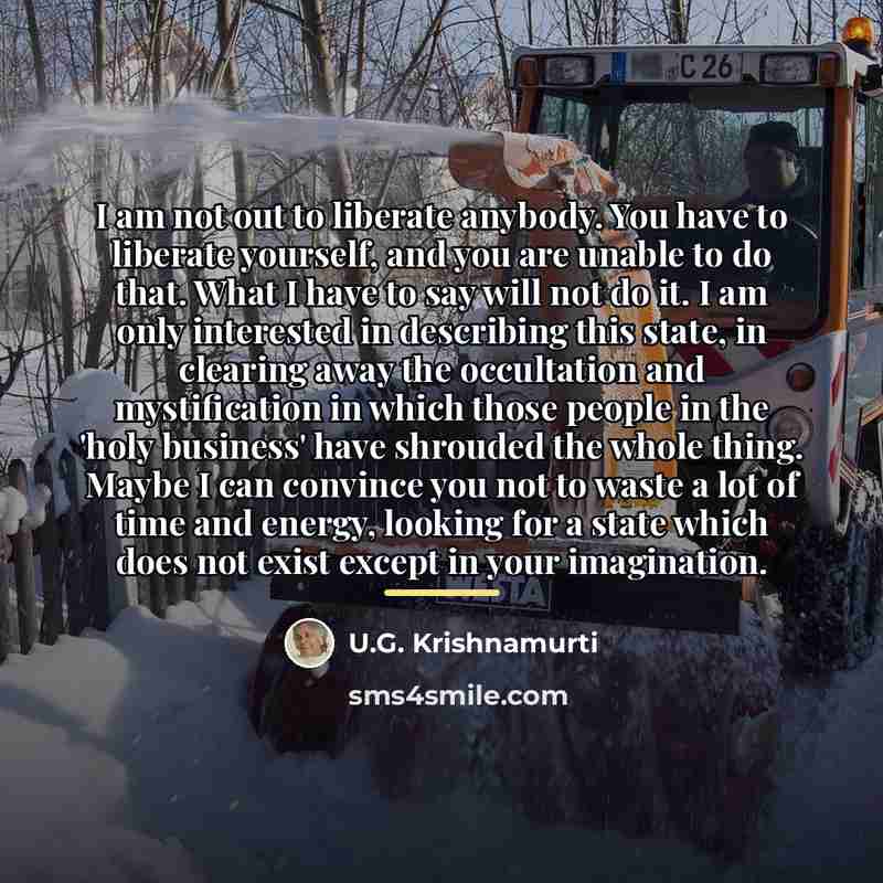 “I am not out to liberate anybody. You have to…” quote by U.G. Krishnamurti