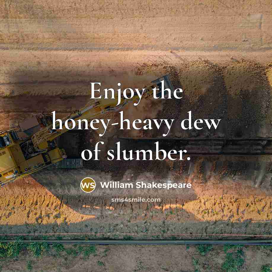 “Enjoy the honey-heavy dew of slumber.…” quote by William Shakespeare