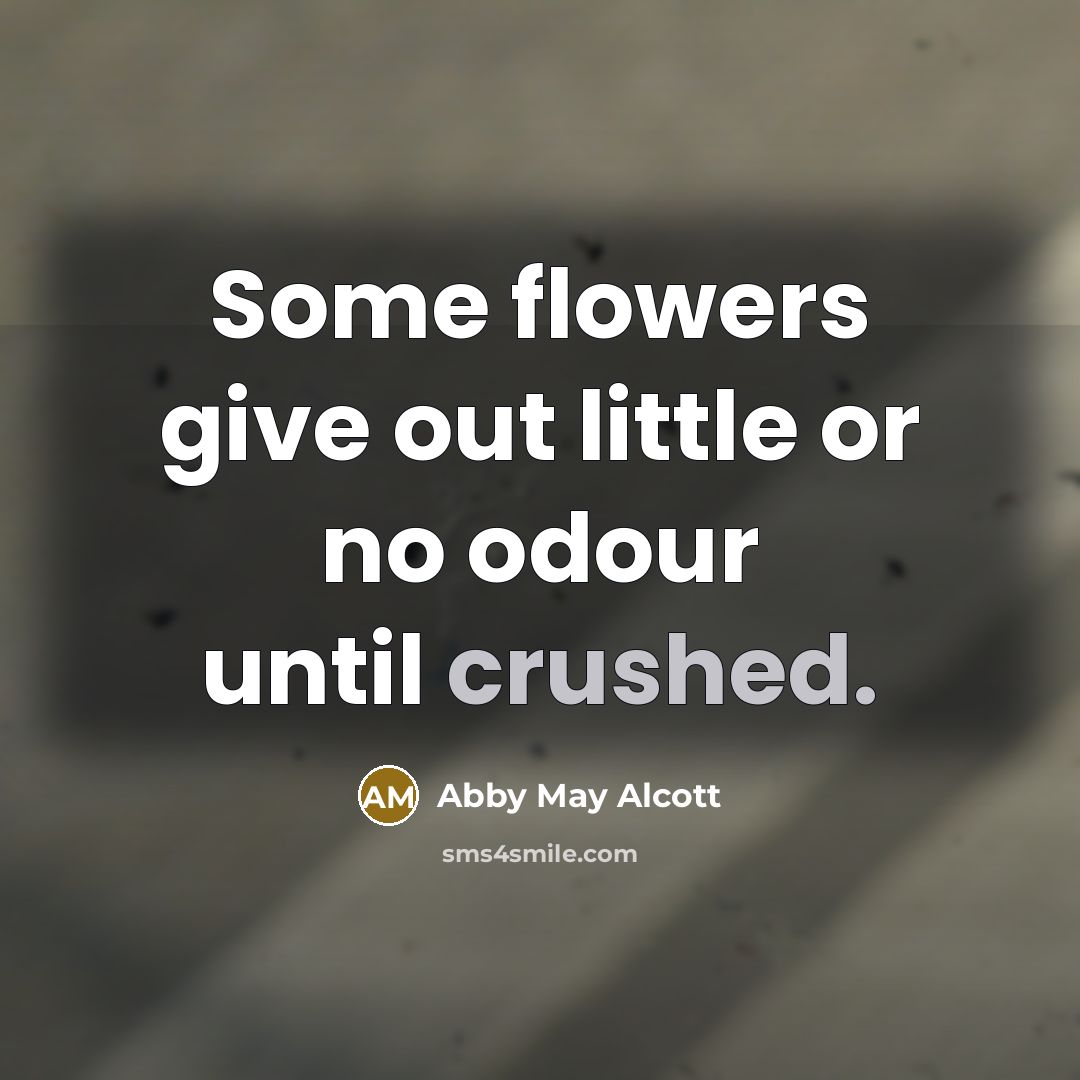 “Some flowers give out little or no odour until crushed.…” quote by Abby May Alcott
