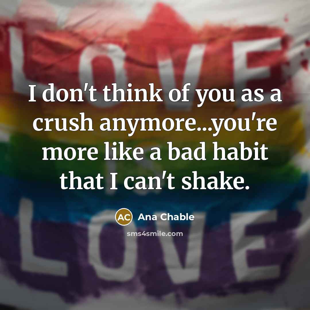 “I don't think of you as a crush anymore...you're more…” quote by Ana Chable
