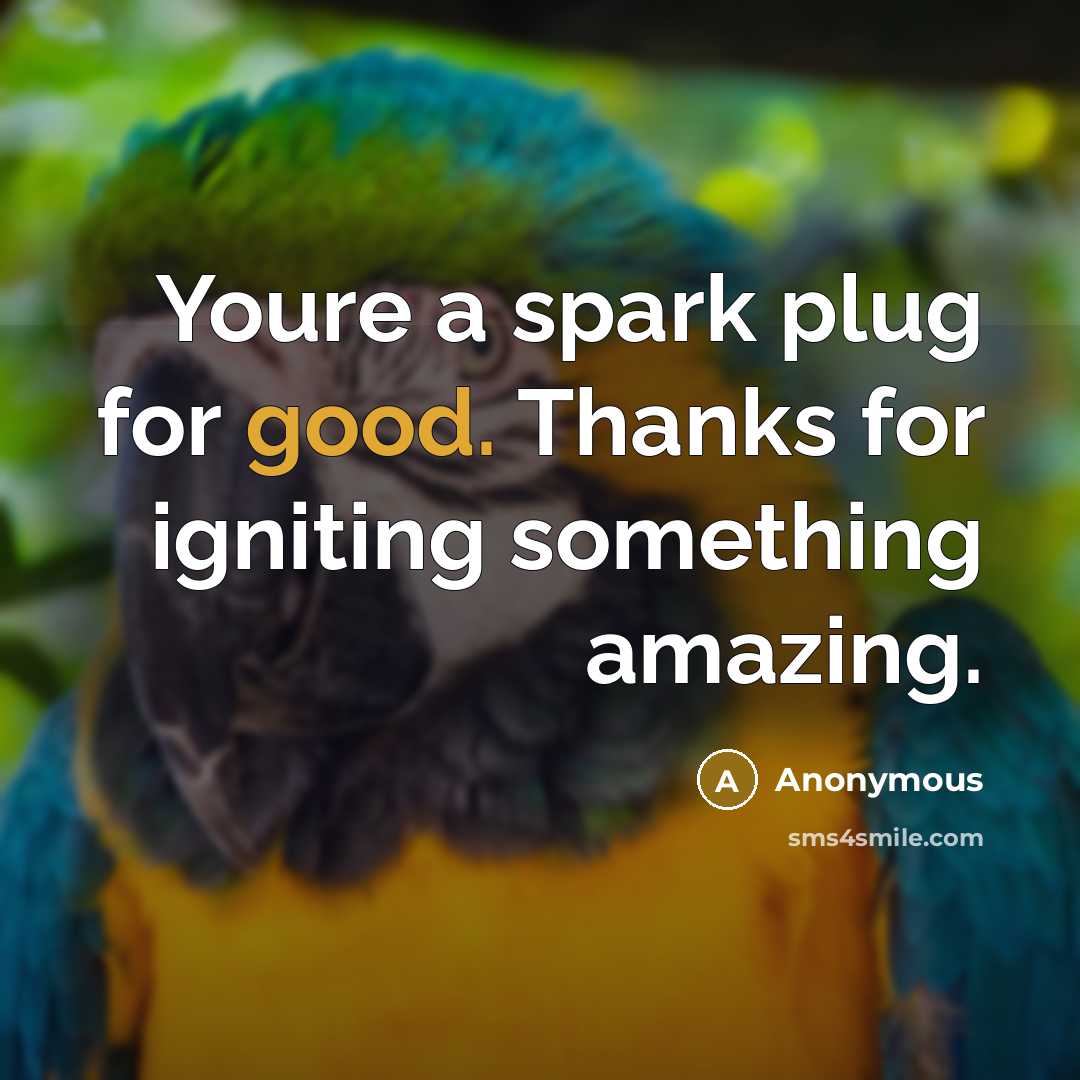 “Youre a spark plug for good. Thanks for igniting something…” quote by Anonymous