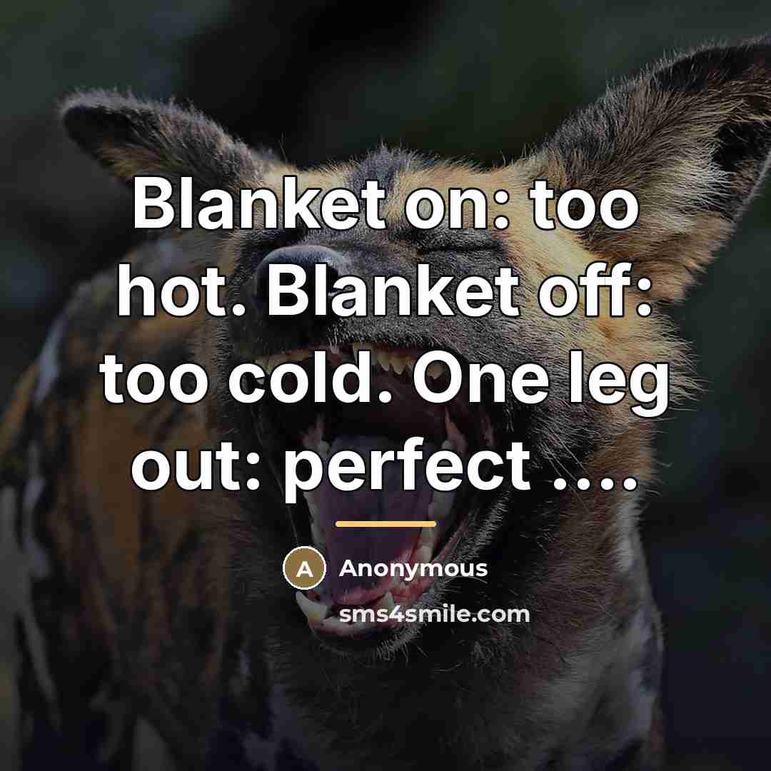 “Blanket on: too hot. Blanket off: too cold. One leg…” quote by Anonymous