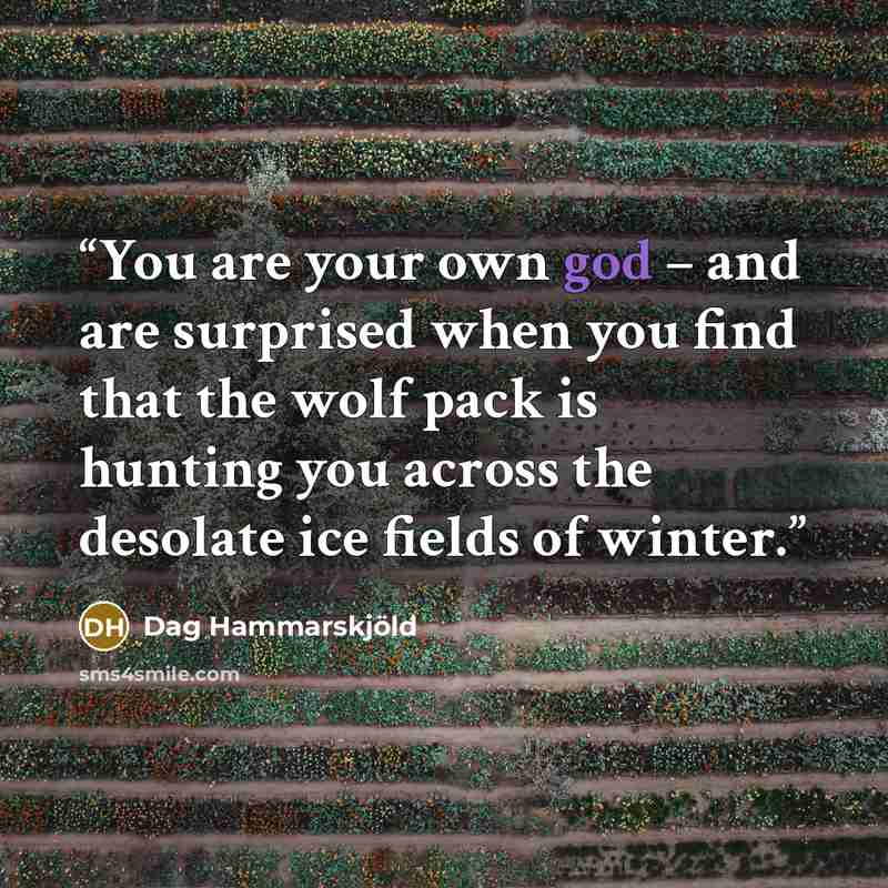 “You are your own god – and are surprised when you find that the wolf pack is hunting you across the desolate ice fields of winter.” quote by Dag Hammarskjöld
