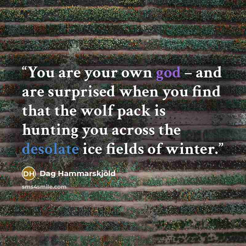 “You are your own god – and are surprised when you find that the wolf pack is hunting you across the desolate ice fields of winter.” quote by Dag Hammarskjöld