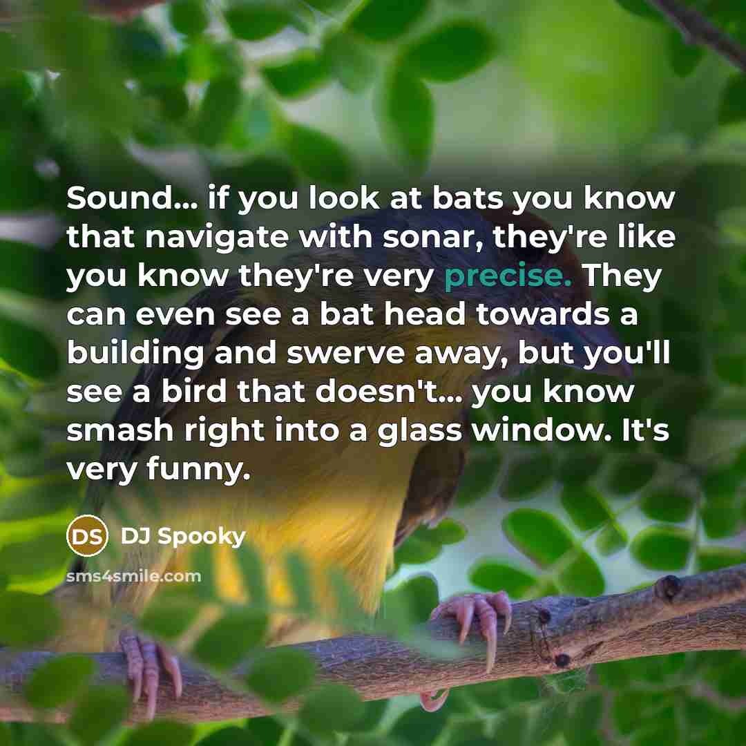“Sound... if you look at bats you know that navigate…” quote by DJ Spooky