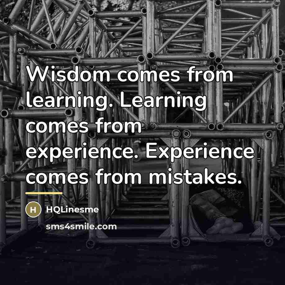 “Wisdom comes from learning. Learning comes from experience. Experience comes…” quote by HQLinesme