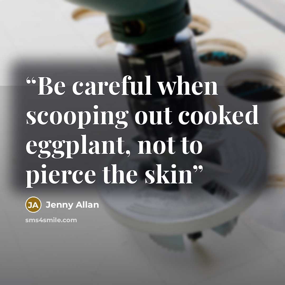 “Be careful when scooping out cooked eggplant, not to pierce the skin” quote by Jenny Allan