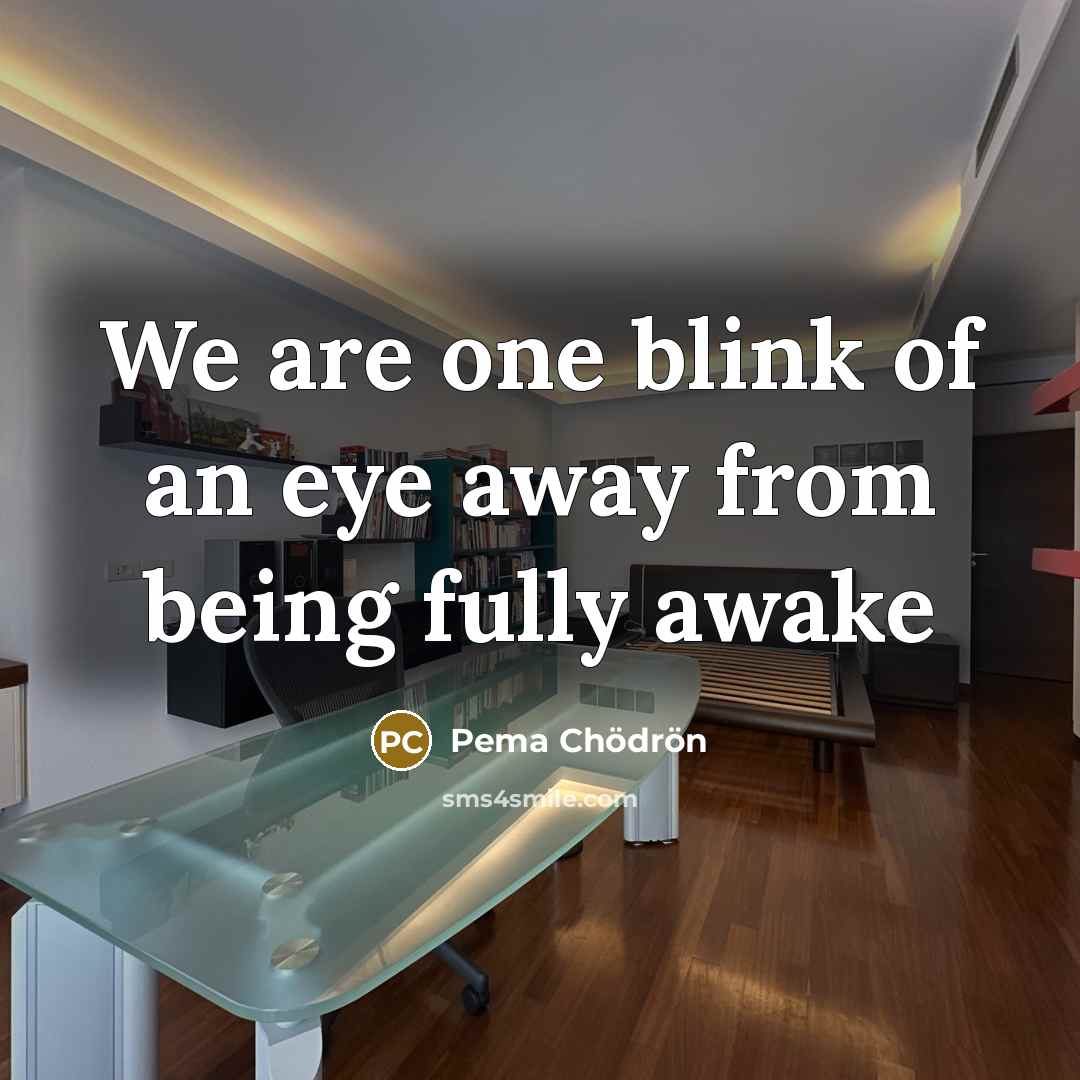 “We are one blink of an eye away from being…” quote by Pema Chodron