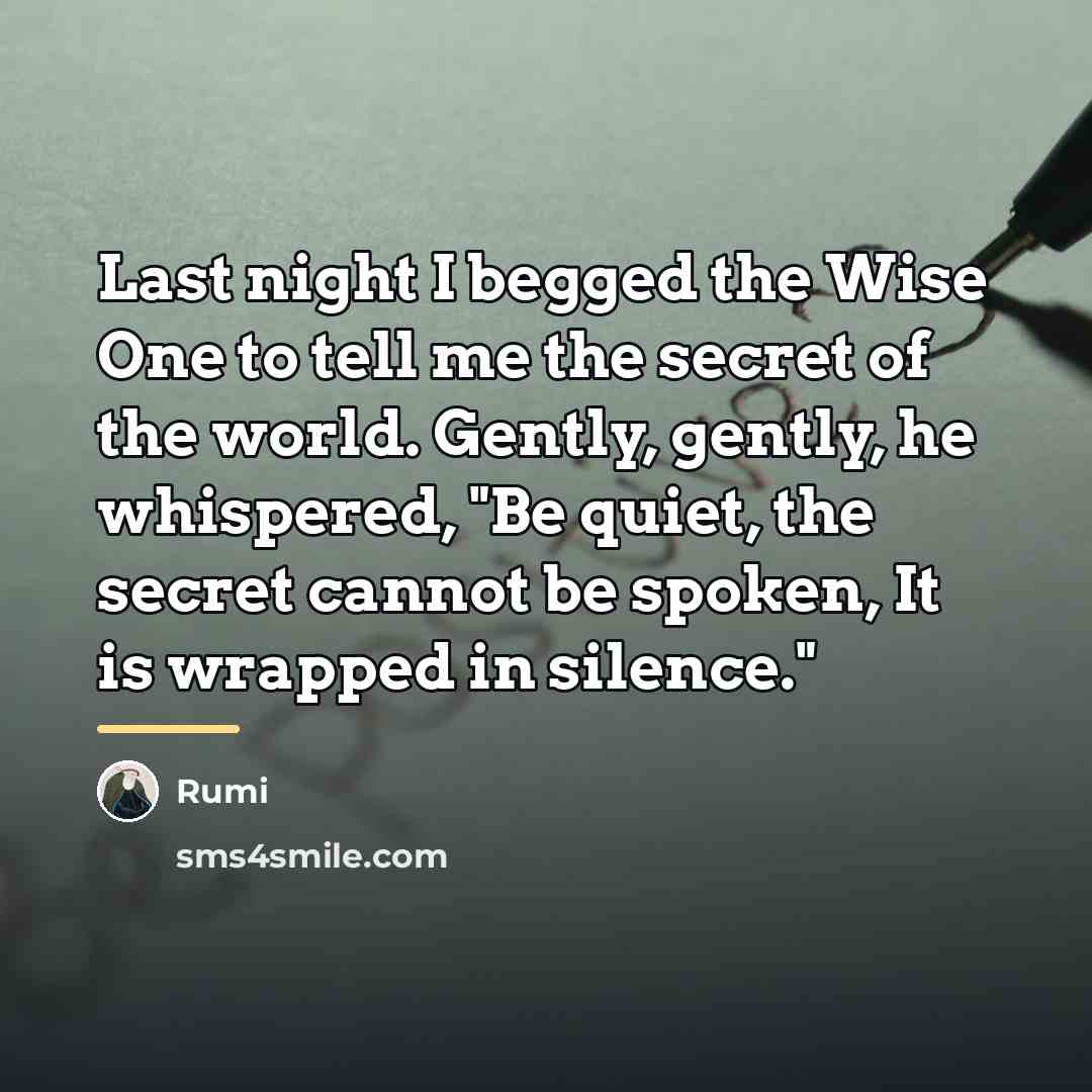 “Last night I begged the Wise One to tell me…” quote by Rumi