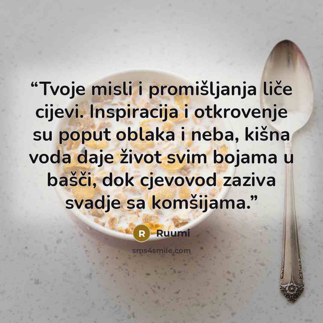 “Tvoje misli i promišljanja liče cijevi. Inspiracija i otkrovenje su poput oblaka i neba, kišna voda daje život svim bojama u bašči, dok cjevovod zaziva svadje sa komšijama.” quote by Ruumi