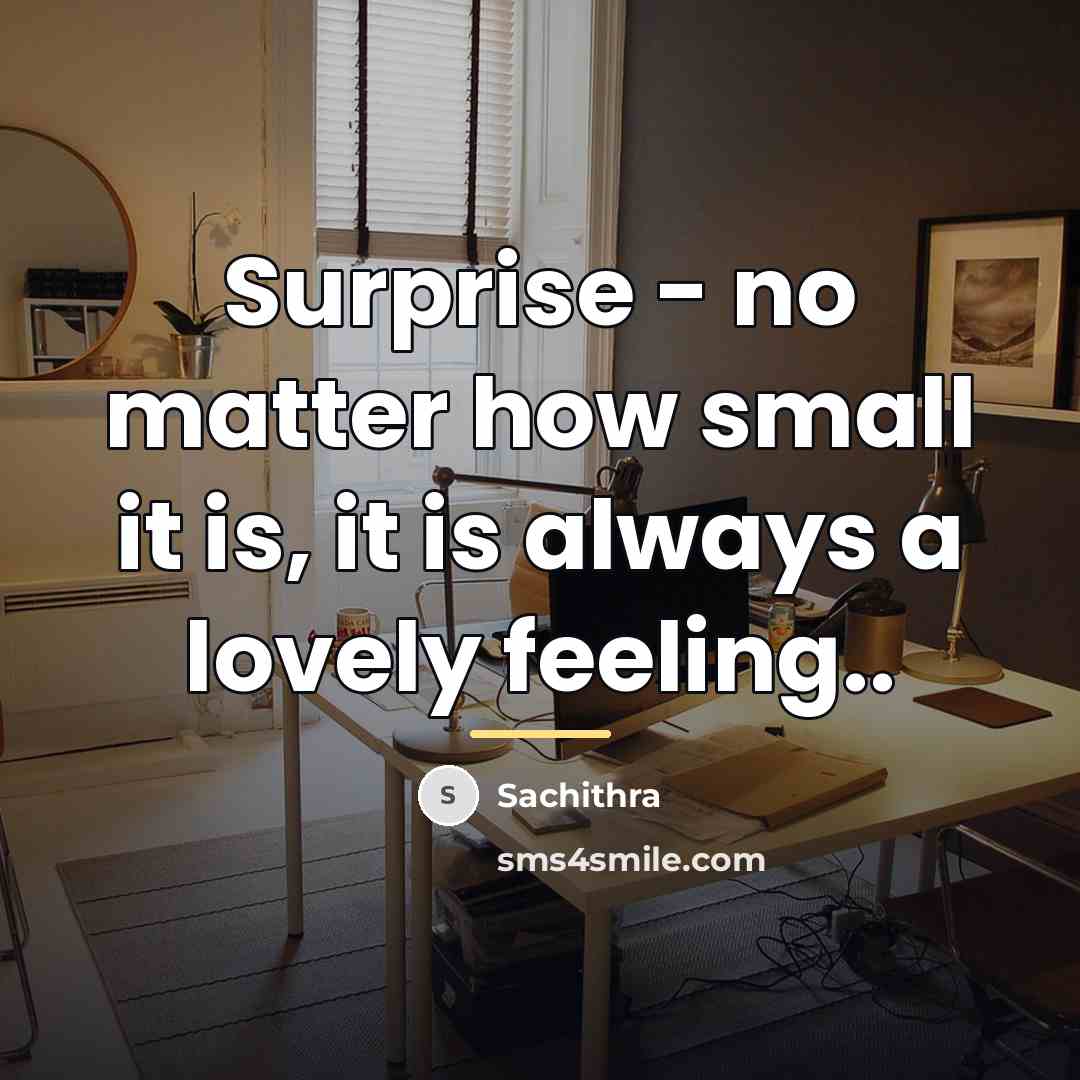 “Surprise - no matter how small it is, it is…” quote by Sachithra