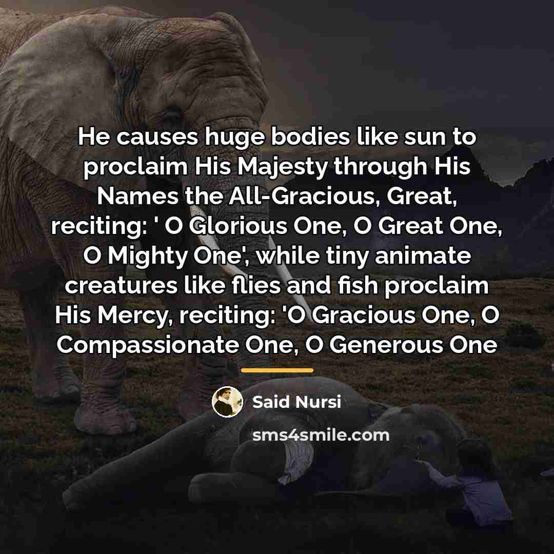 “He causes huge bodies like sun to proclaim His Majesty…” quote by Said Nursi