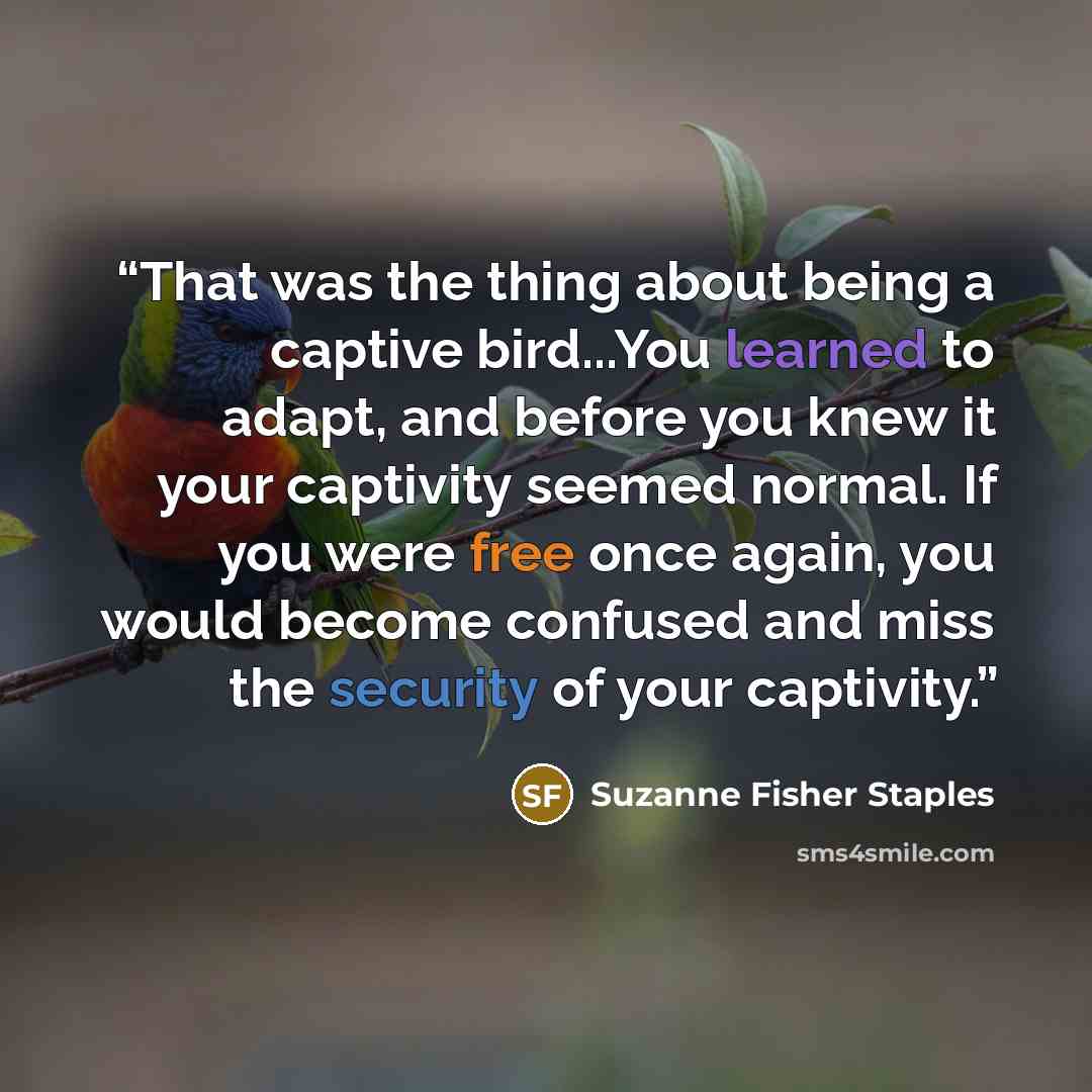 “That was the thing about being a captive bird...You learned to adapt, and before you knew it your captivity seemed normal. If you were free once again, you would become confused and miss the security of your captivity.” quote by Suzanne Fisher Staples