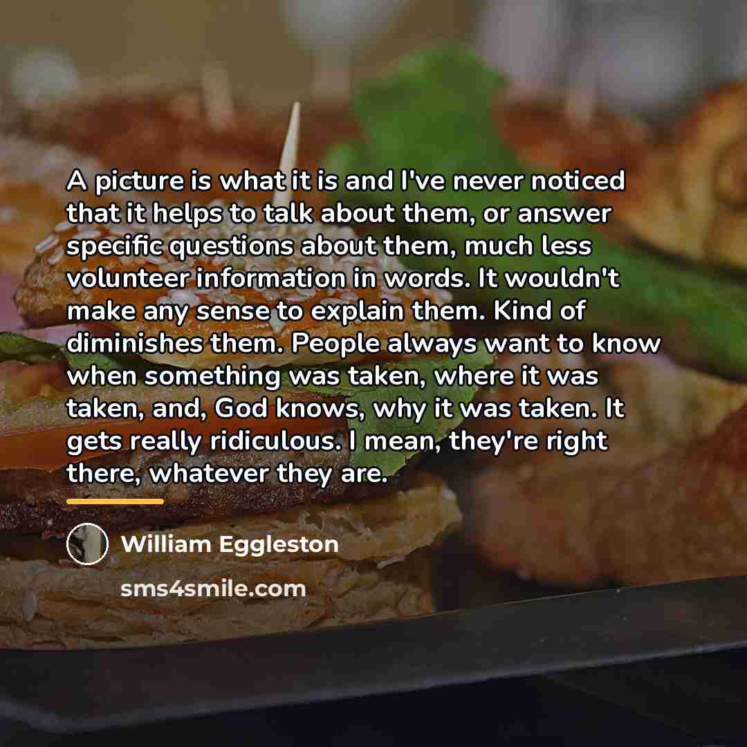 “A picture is what it is and I've never noticed…” quote by William Eggleston