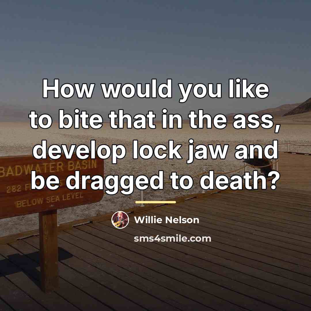 “How would you like to bite that in the ass,…” quote by Willie Nelson