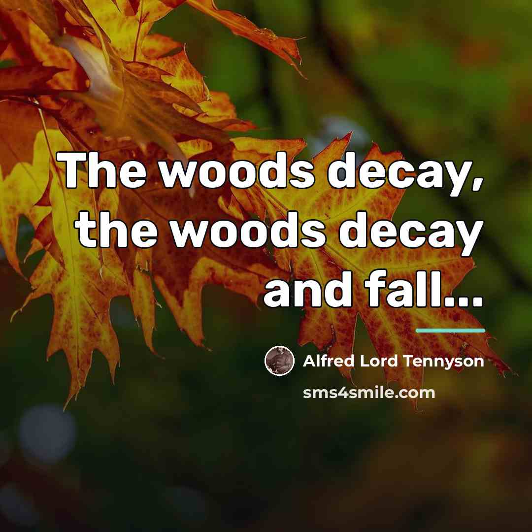 “The woods decay, the woods decay and fall...…” quote by Alfred Lord Tennyson