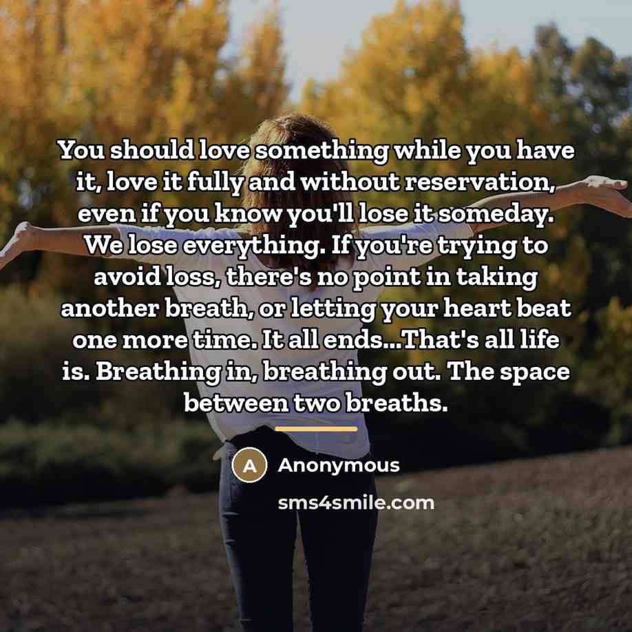 “You should love something while you have it, love it…” quote by Anonymous