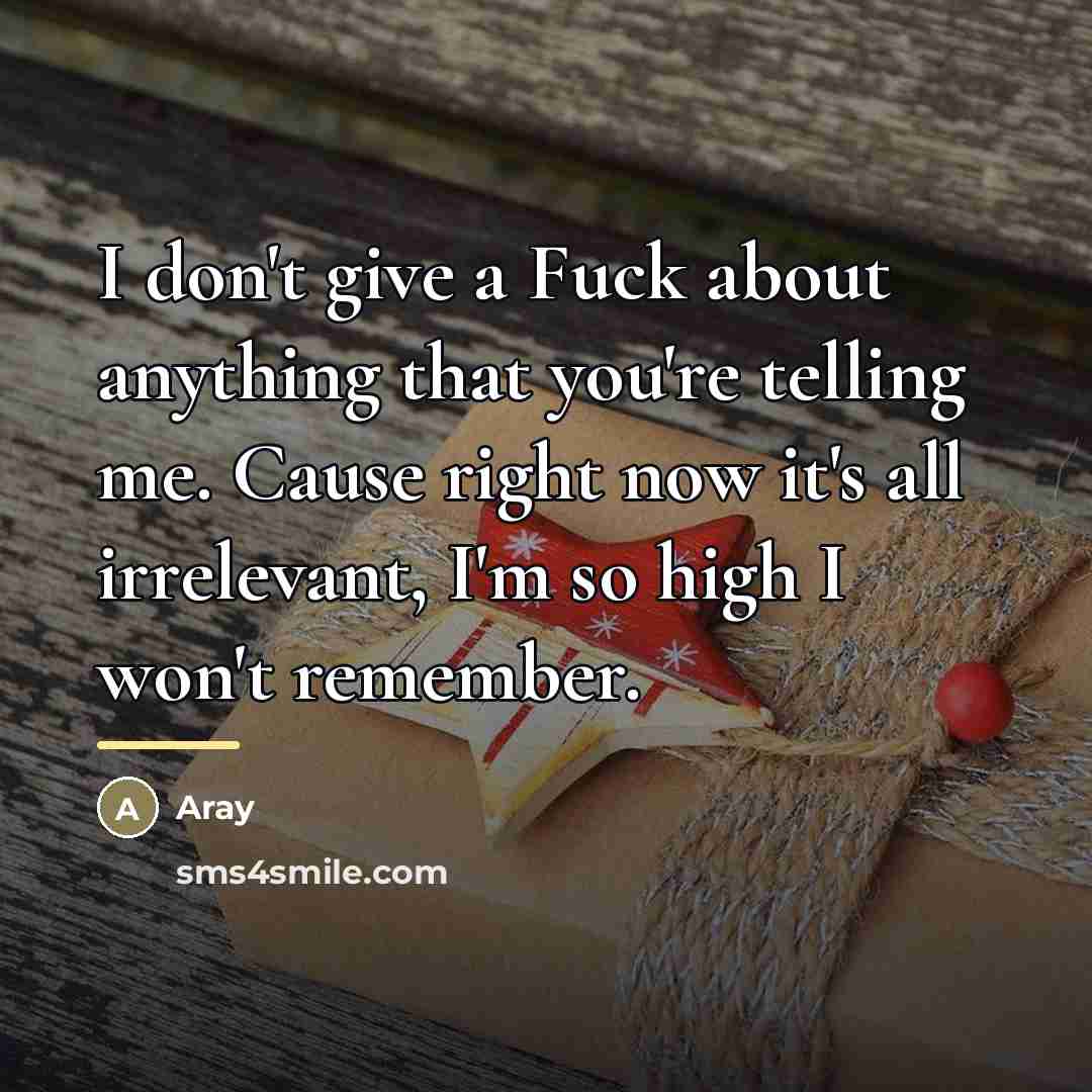 “I don't give a Fuck about anything that you're telling…” quote by Aray