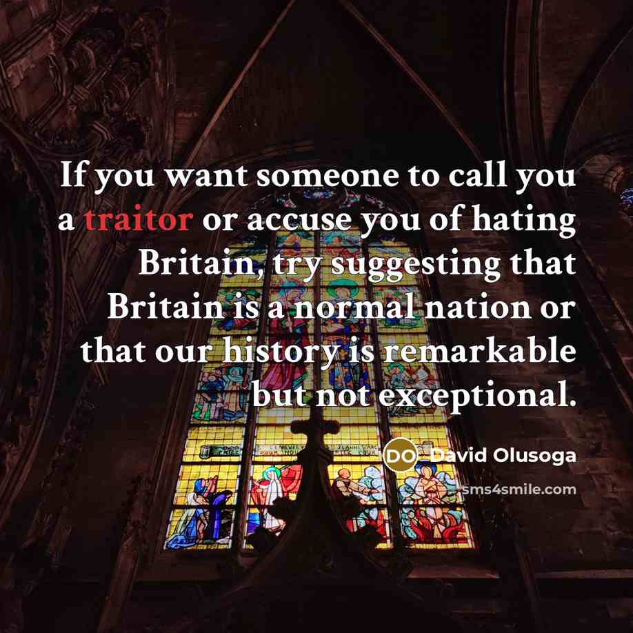 “If you want someone to call you a traitor or…” quote by David Olusoga