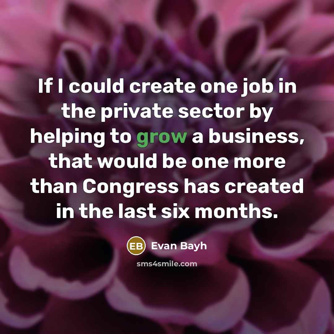 “If I could create one job in the private sector…” quote by Evan Bayh