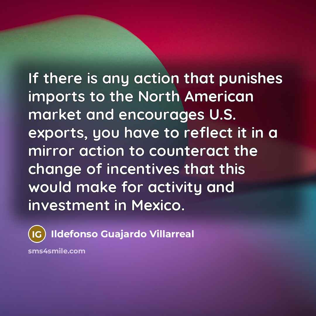 “If there is any action that punishes imports to the…” quote by Ildefonso Guajardo Villarreal