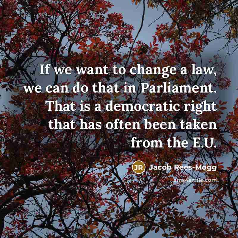 “If we want to change a law, we can do…” quote by Jacob Rees-Mogg