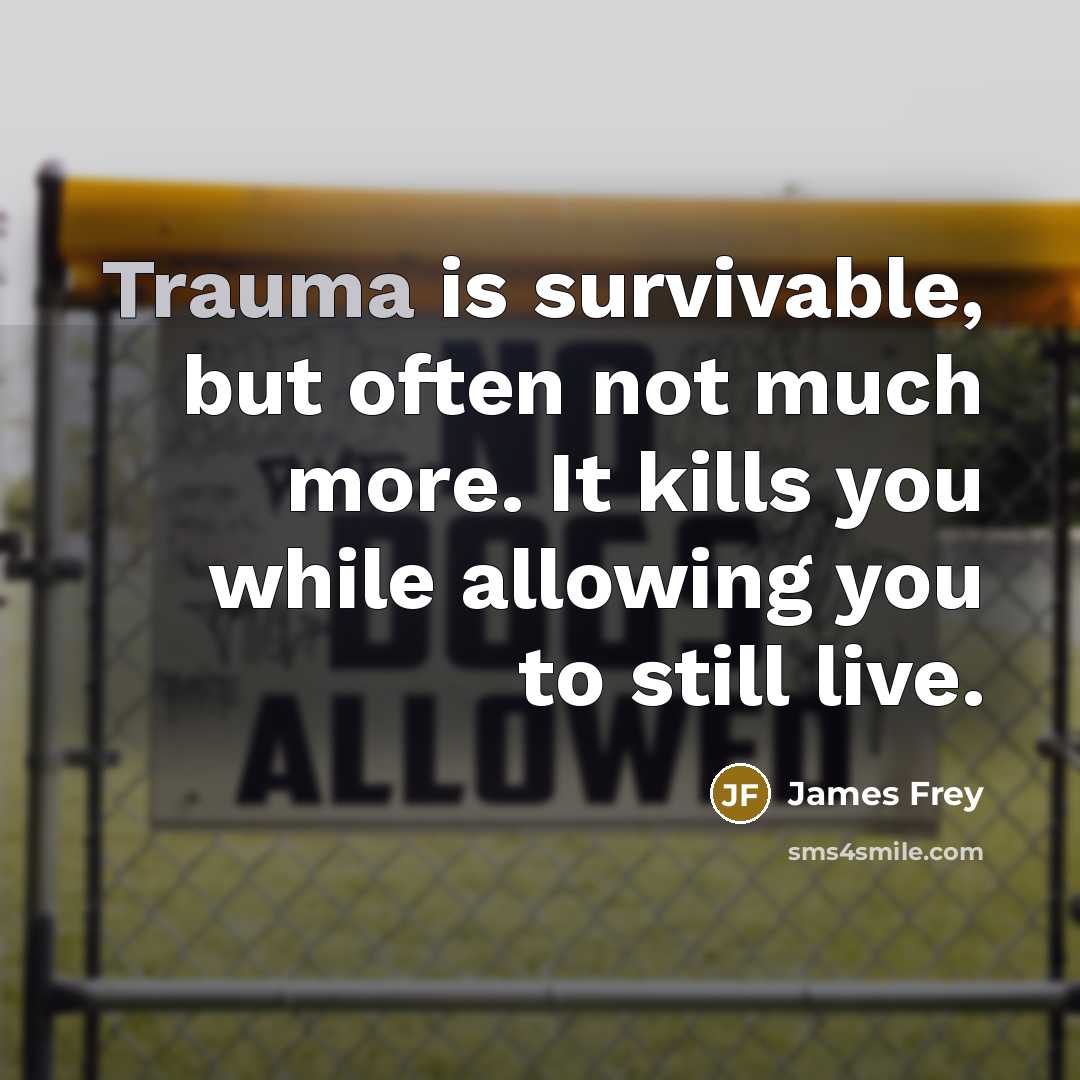 “Trauma is survivable, but often not much more. It kills…” quote by James Frey