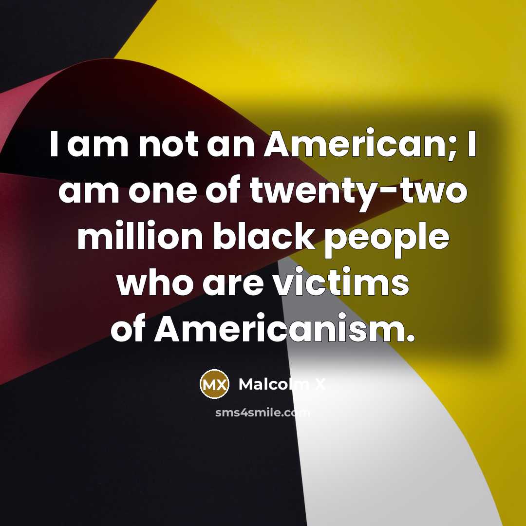 “I am not an American; I am one of twenty-two…” quote by Malcolm X