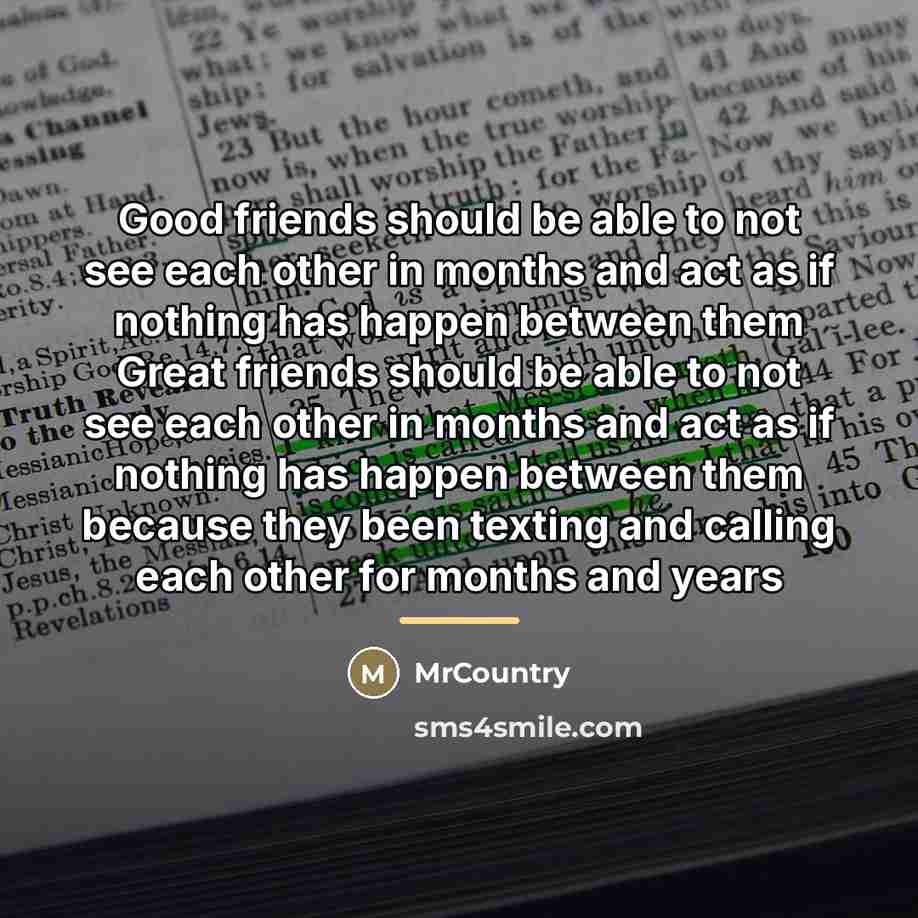 “Good friends should be able to not see each other…” quote by MrCountry