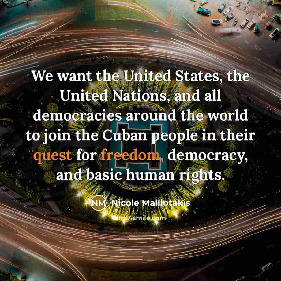 “We want the United States, the United Nations, and all…” quote by Nicole Malliotakis