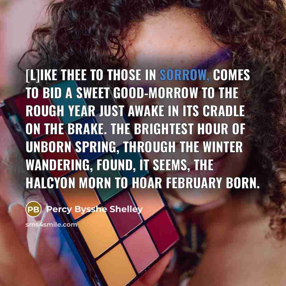 “[L]ike thee to those in sorrow, Comes to bid a…” quote by Percy Bysshe Shelley