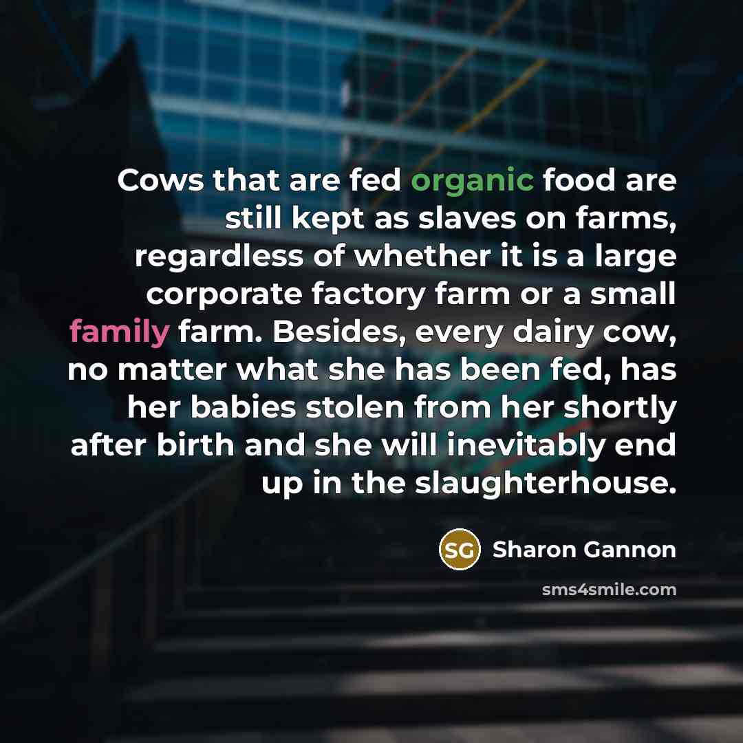 “Cows that are fed organic food are still kept as…” quote by Sharon Gannon