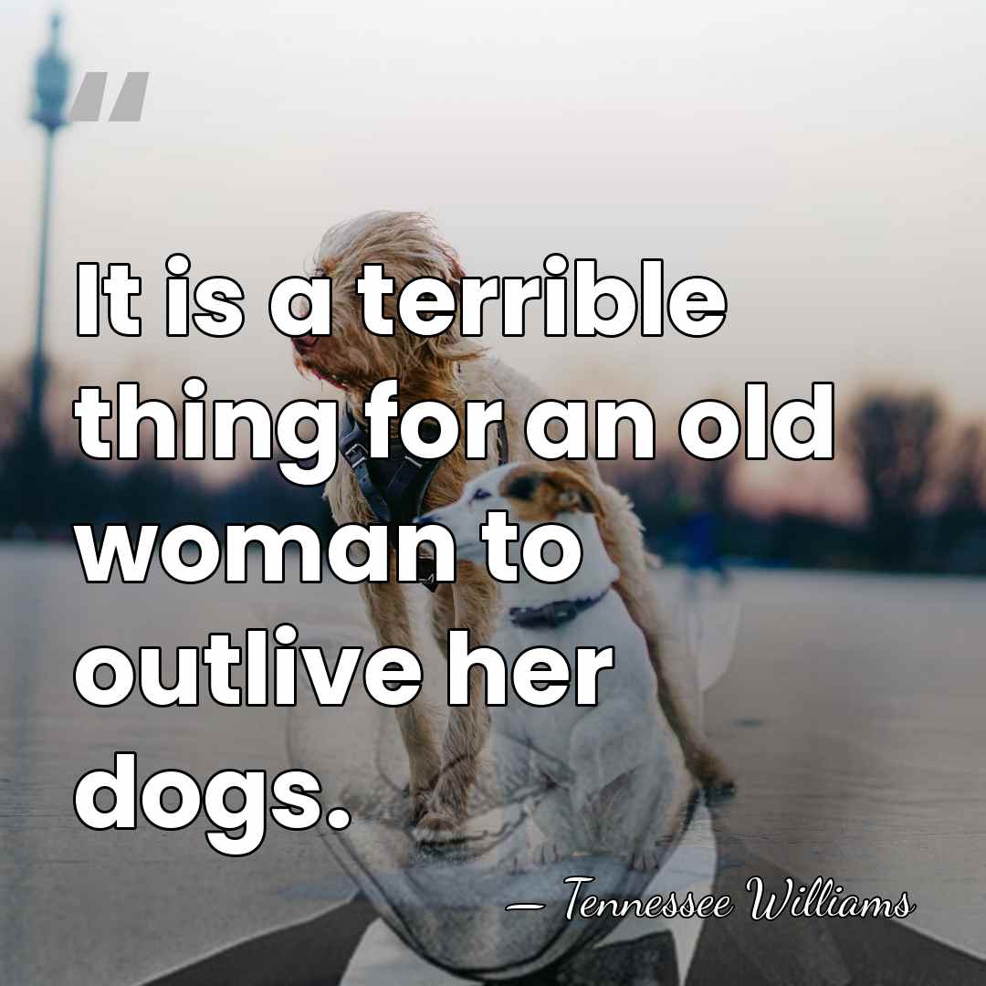 It is a terrible thing for an old woman to outlive her&hellip; - Tennessee Williams