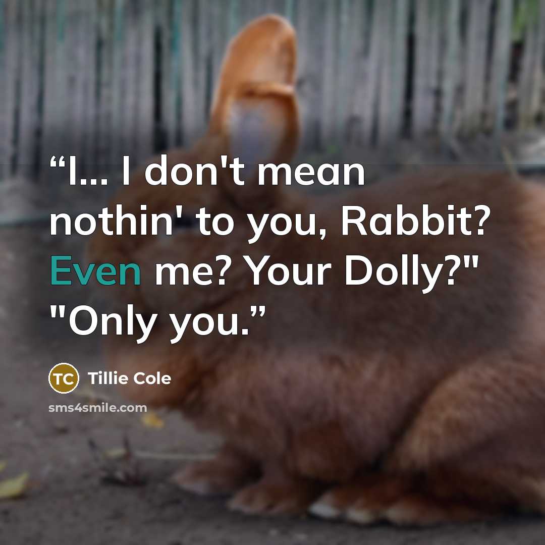 “I... I don't mean nothin' to you, Rabbit? Even me? Your Dolly?" "Only you.” quote by Tillie Cole