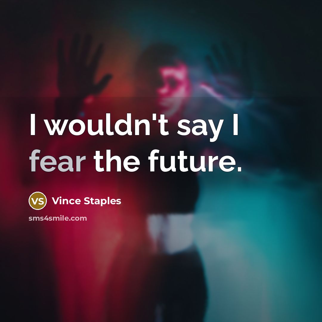 “I wouldn't say I fear the future.…” quote by Vince Staples