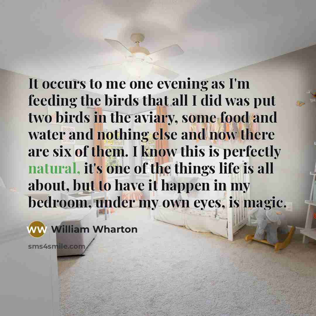 “It occurs to me one evening as I'm feeding the…” quote by William Wharton