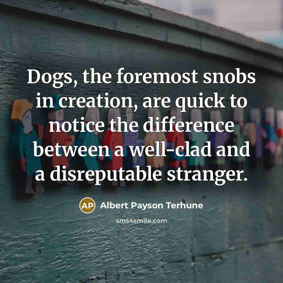 “Dogs, the foremost snobs in creation, are quick to notice…” quote by Albert Payson Terhune