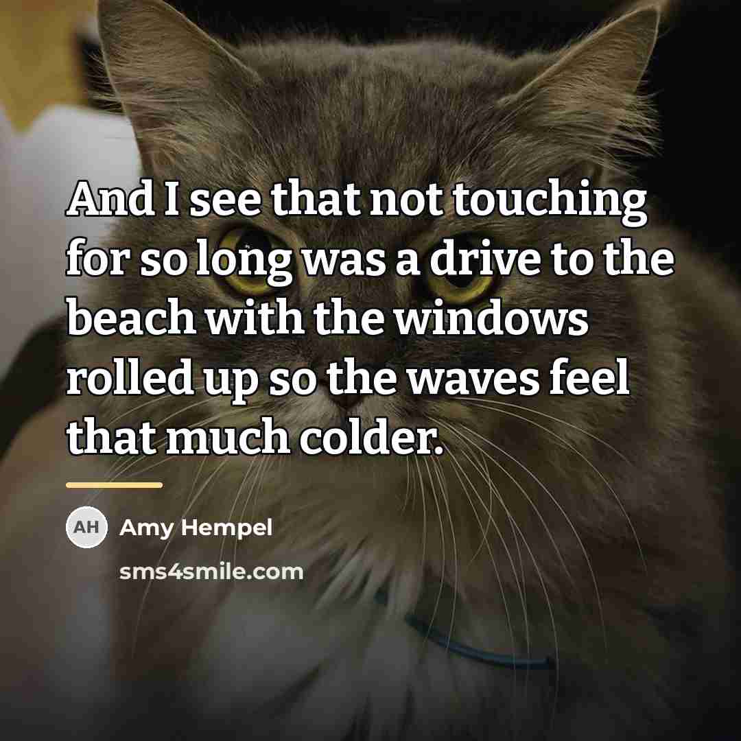“And I see that not touching for so long was…” quote by Amy Hempel