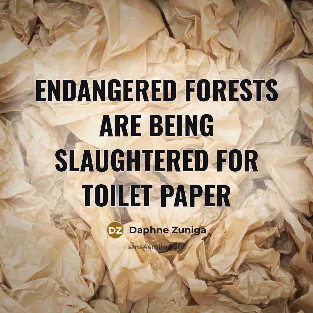 “Endangered forests are being slaughtered for toilet paper…” quote by Daphne Zuniga