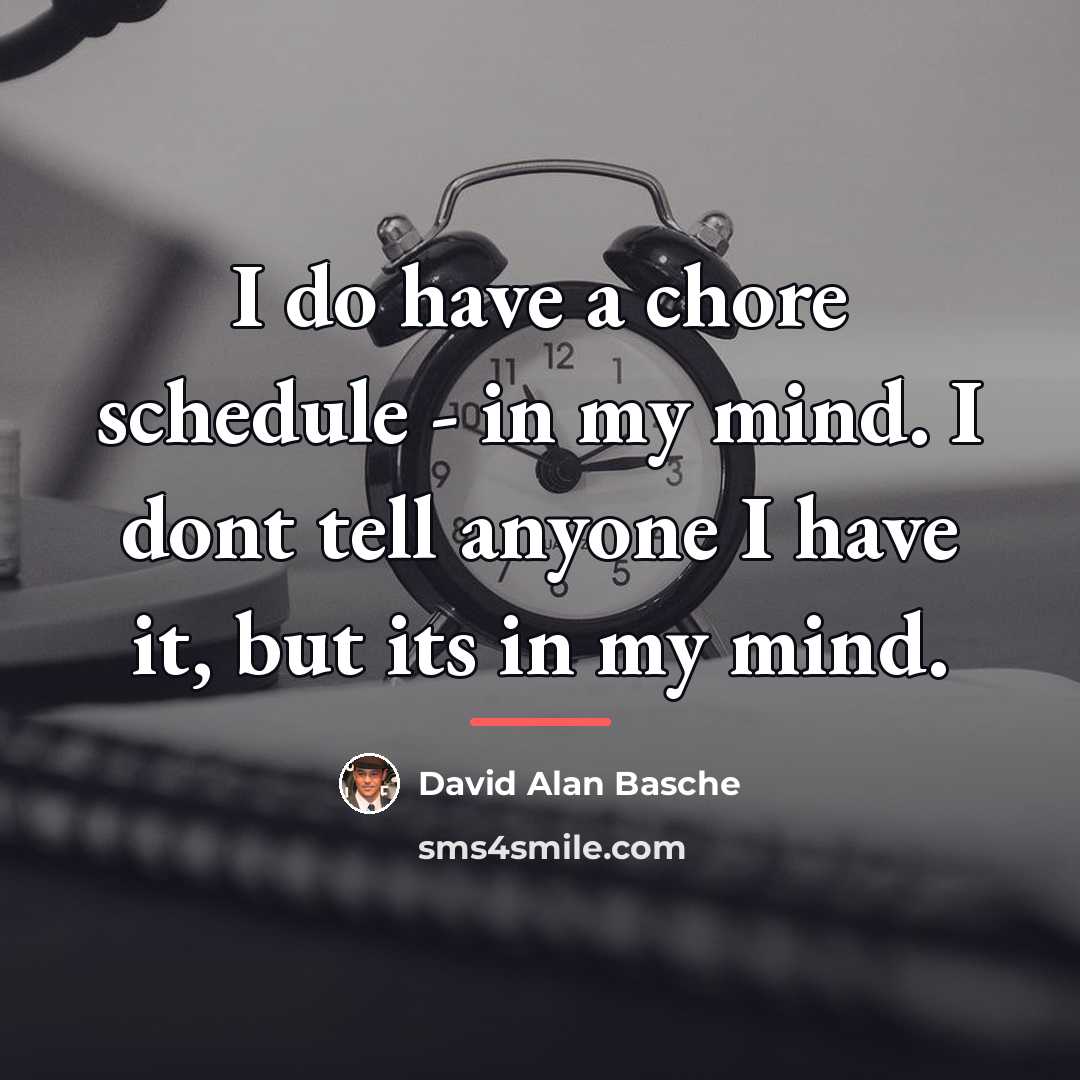 “I do have a chore schedule - in my mind.…” quote by David Alan Basche