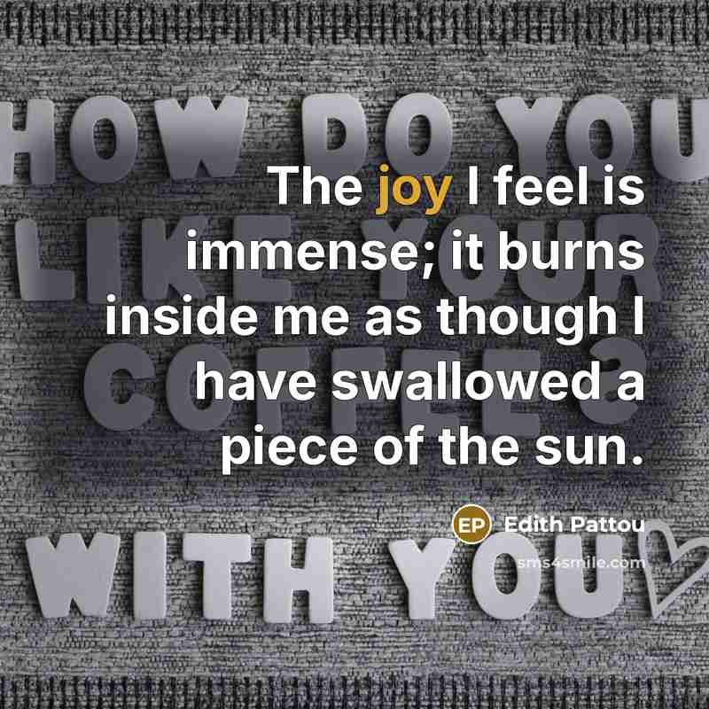 “The joy I feel is immense; it burns inside me as though I have swallowed a piece of the sun.” quote by Edith Pattou