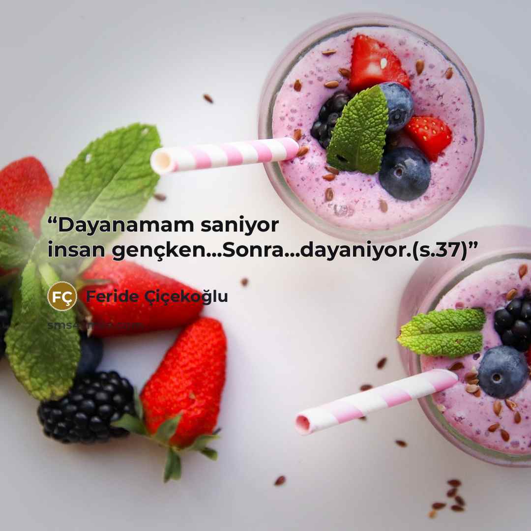 “Dayanamam saniyor insan gençken...Sonra...dayaniyor.(s.37)” quote by Feride Çiçekoğlu