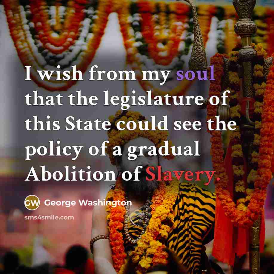 “I wish from my soul that the legislature of this…” quote by George Washington