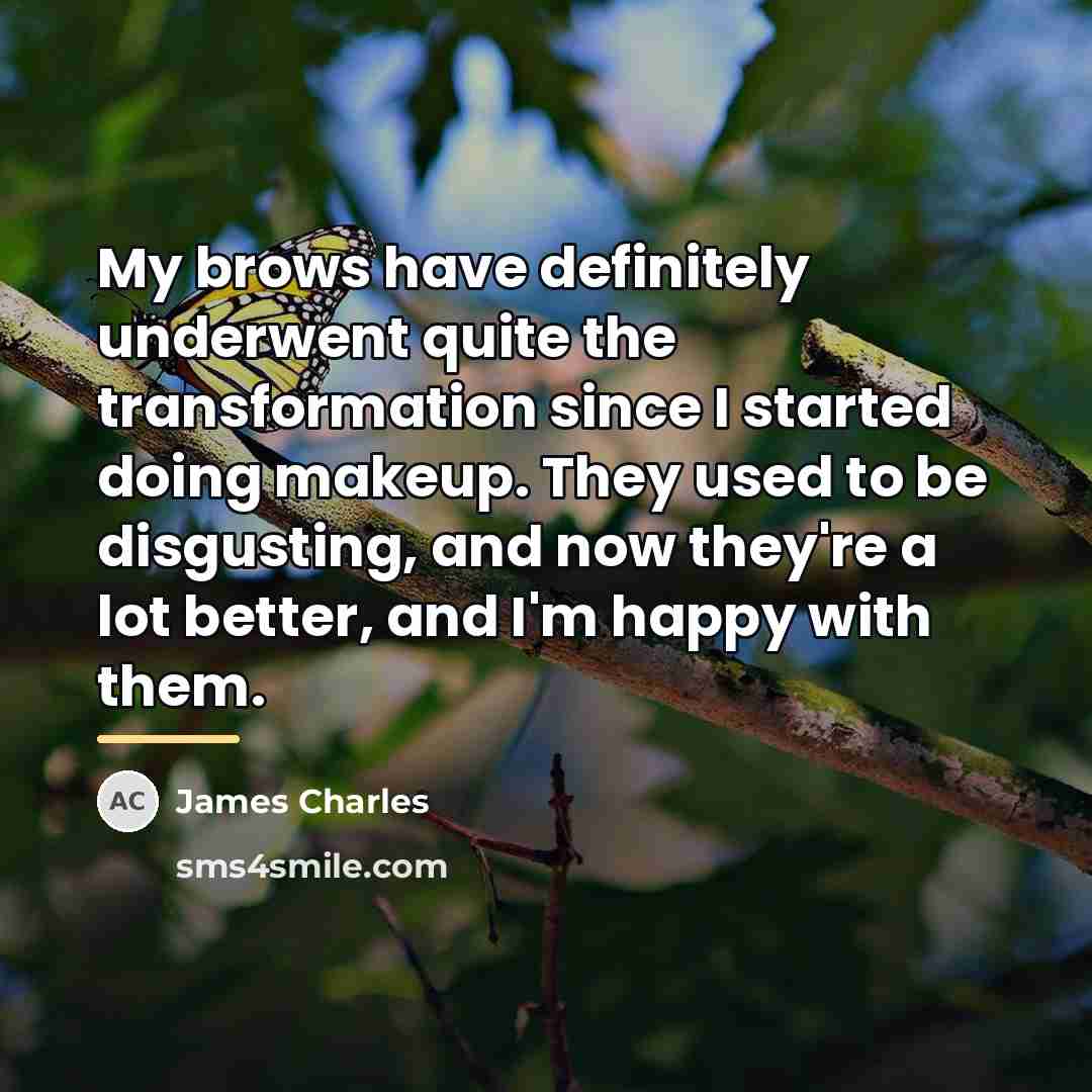 “My brows have definitely underwent quite the transformation since I…” quote by James Charles