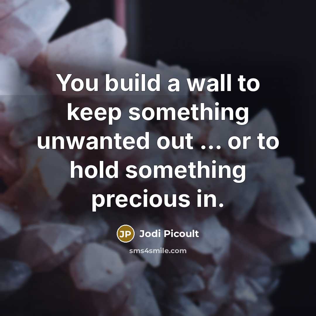 “You build a wall to keep something unwanted out…” quote by Jodi Picoult