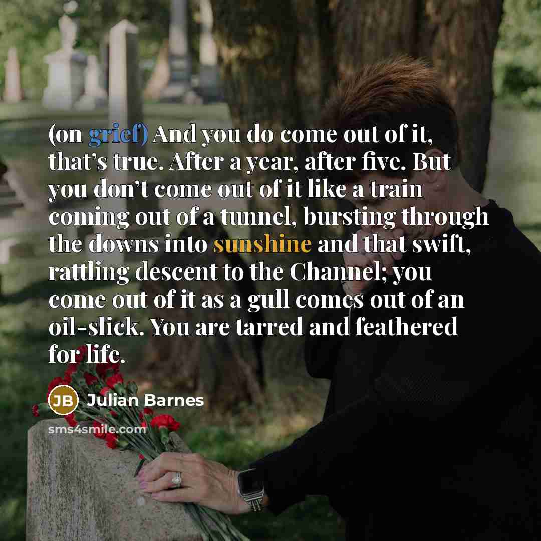 “(on grief) And you do come out of it, that’s…” quote by Julian Barnes